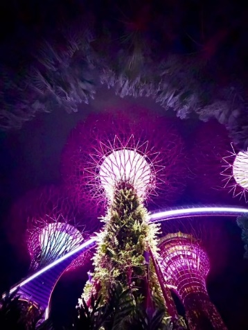 Amazing Race: Around the World at Gardens by the Bay - Photo 2